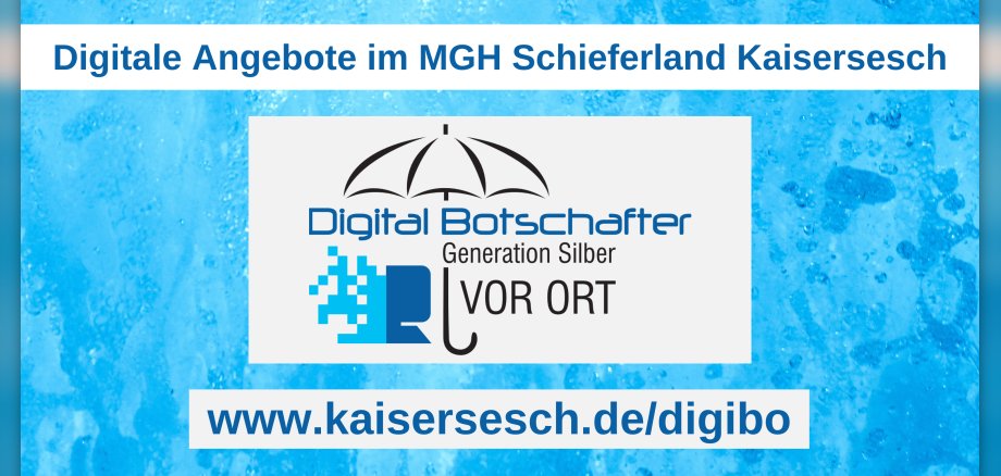 Logo Digitalbotschafter