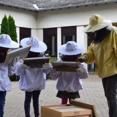 Kinder beim Erkunden der Bienen.